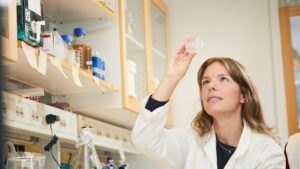fertility research