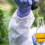 Bud delta 9 oil