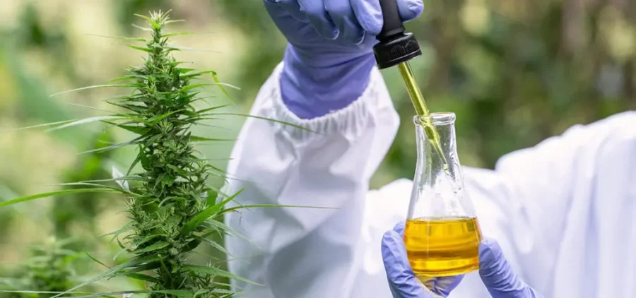 Harnessing Nature’s Potency: The Science behind Bud Delta 9 Oil Wellness